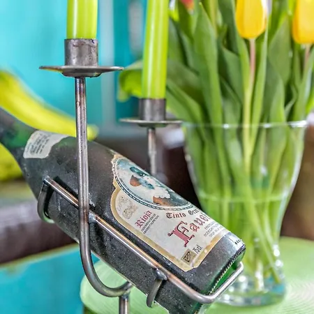 Ongi * Friedrichskoog-Spitze